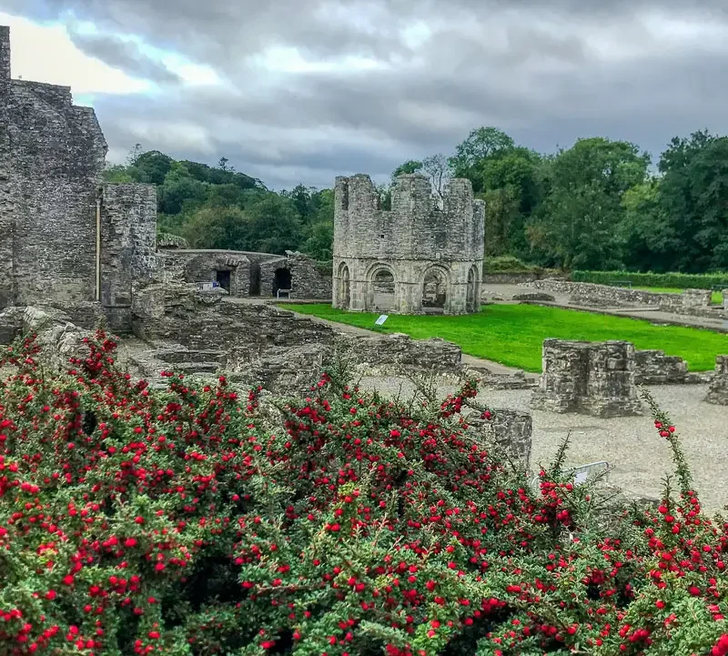 Old Mellifont Abbey