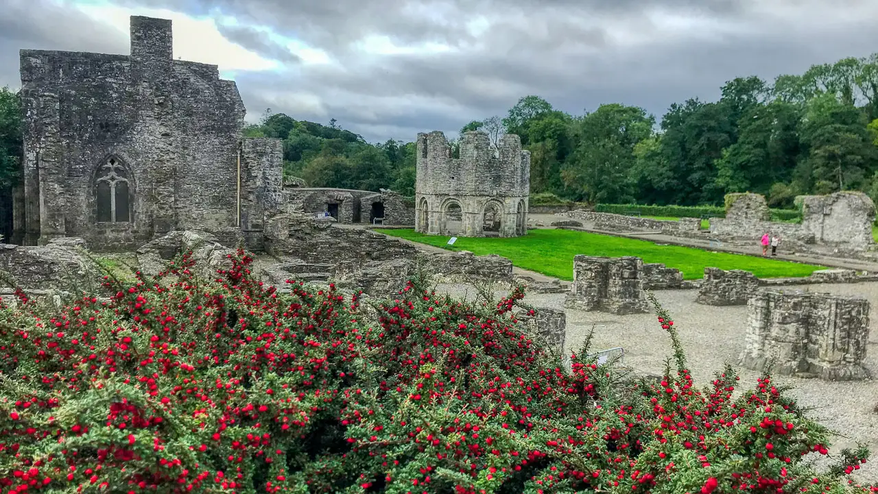 Old Mellifont Abbey
